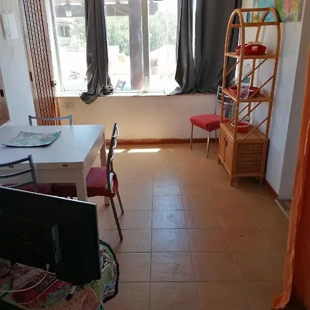 Le Di Vito
